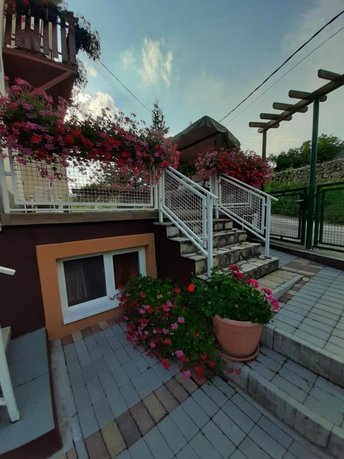 Rozsakert Vendeghaz Bed & Breakfast Szigliget Dış mekan fotoğraf