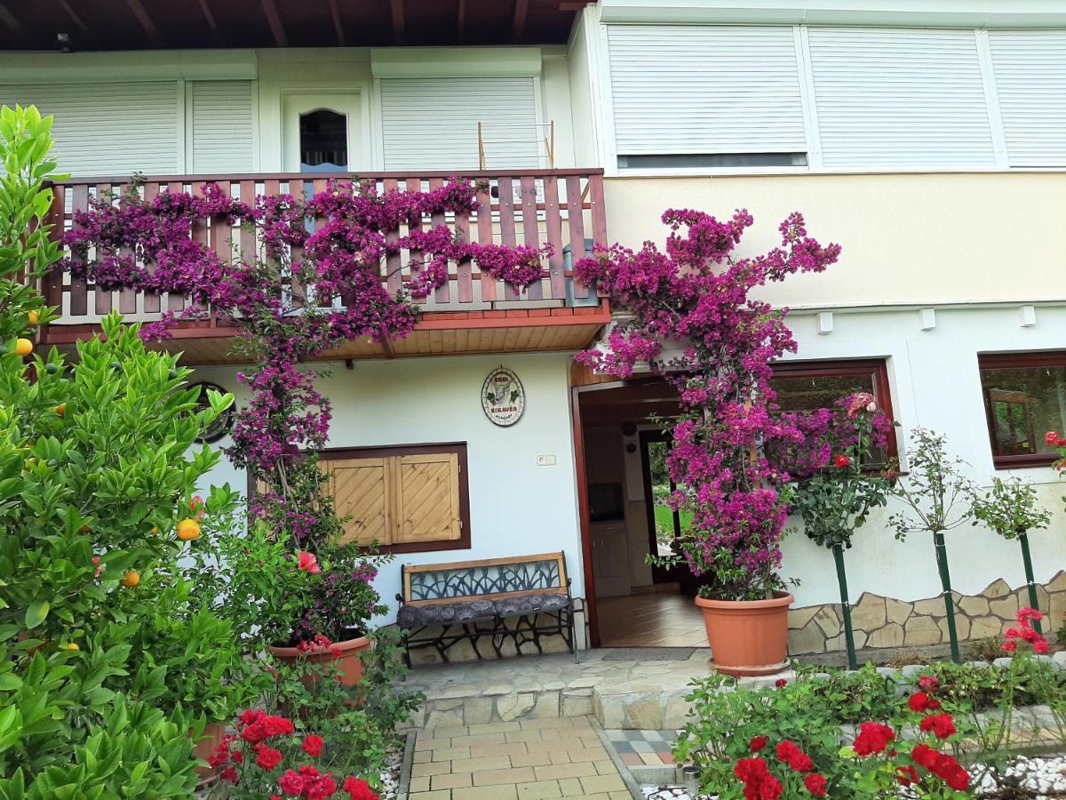 Rozsakert Vendeghaz Bed & Breakfast Szigliget Dış mekan fotoğraf