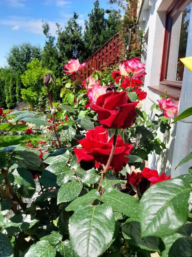 Rozsakert Vendeghaz Bed & Breakfast Szigliget Dış mekan fotoğraf