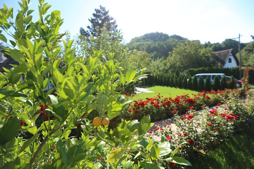 Rozsakert Vendeghaz Bed & Breakfast Szigliget Dış mekan fotoğraf