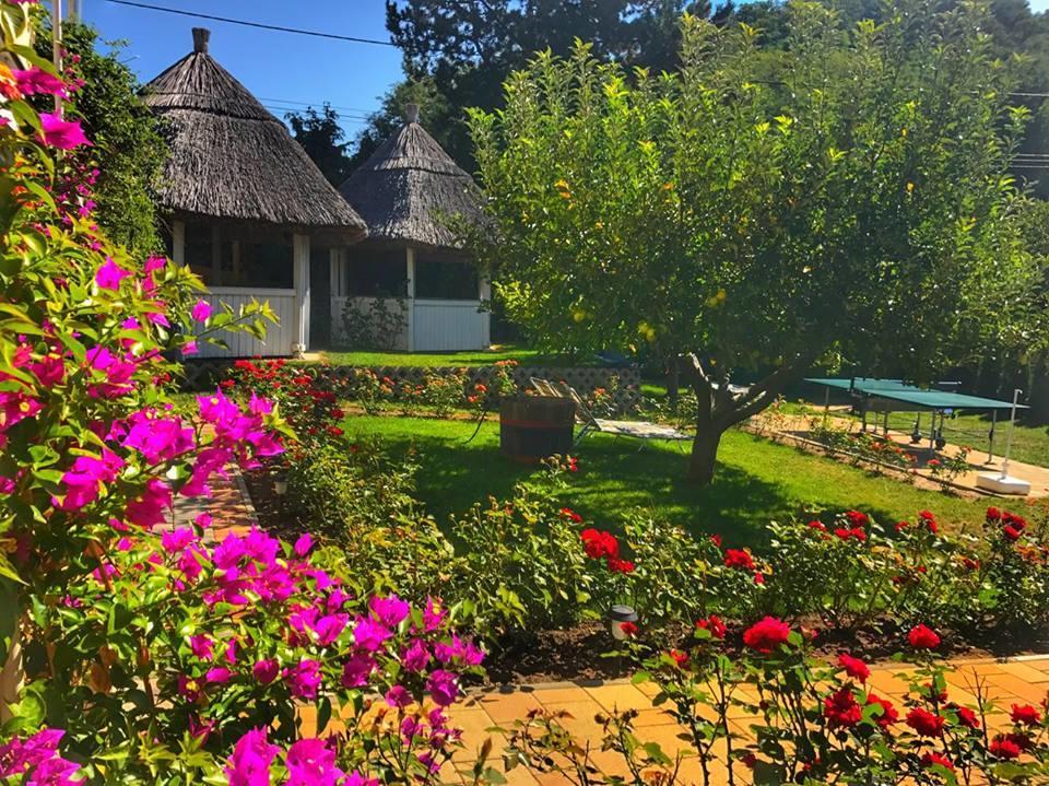 Rozsakert Vendeghaz Bed & Breakfast Szigliget Dış mekan fotoğraf